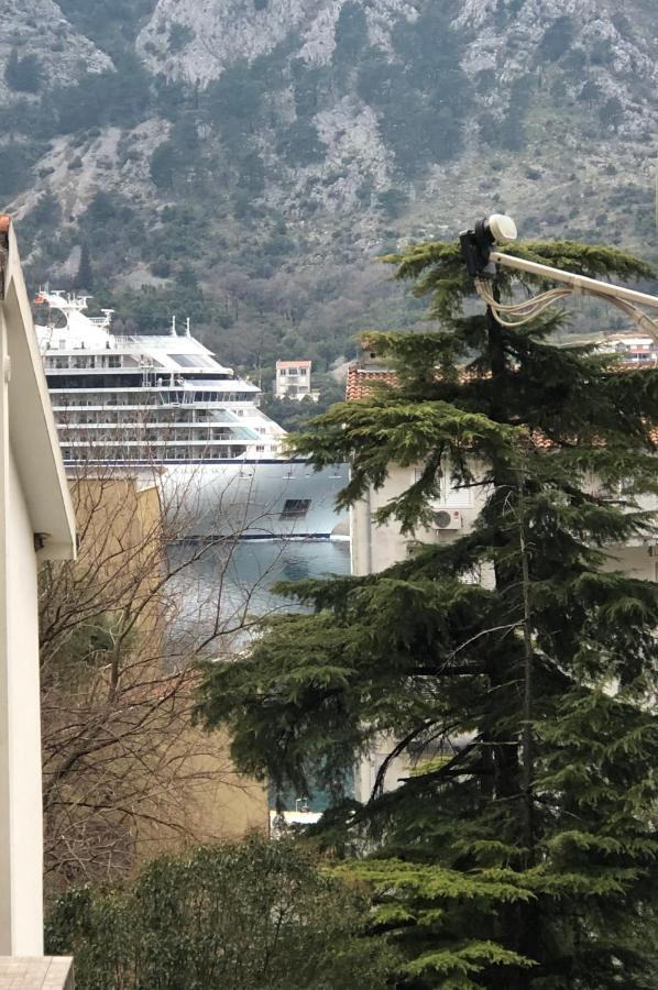 Unico Apartman Kotor Exteriér fotografie