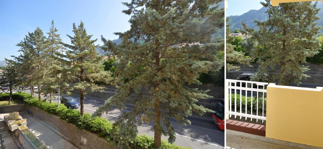 Unico Apartman Kotor Exteriér fotografie